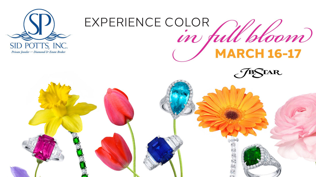Experience Color in Full Bloom with JB Star