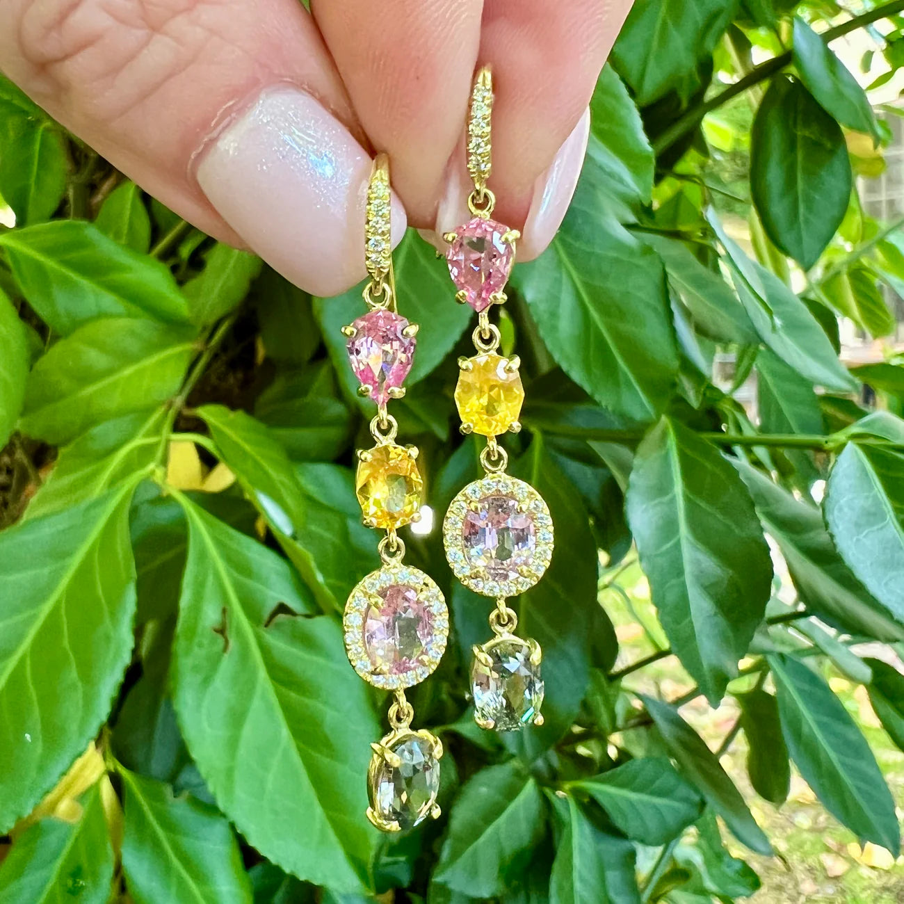 Multi-Color Sapphire Earrings