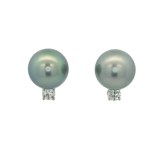 Tahitian Pearl Studs
