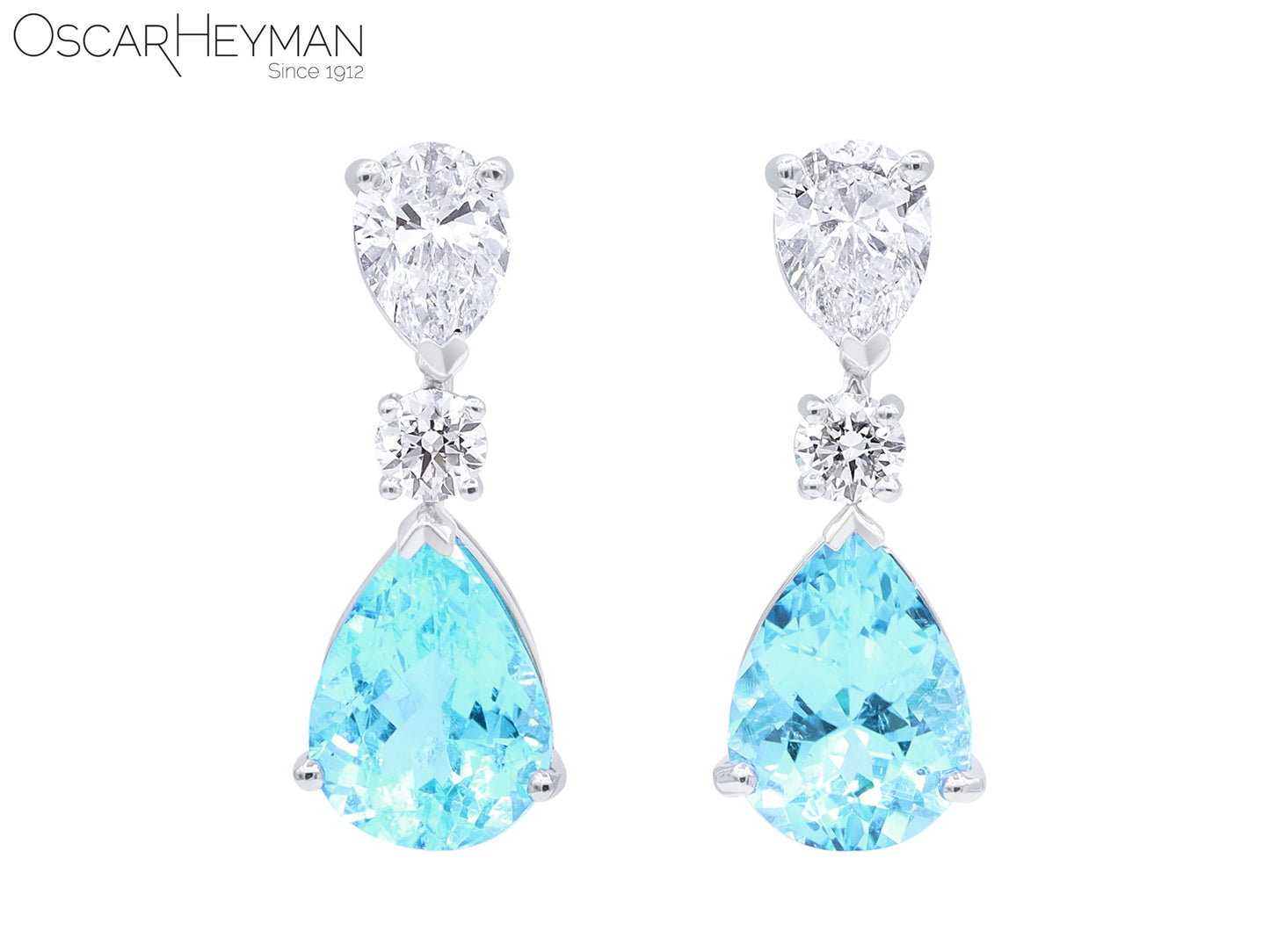 Platinum Paraiba Diamond Earrings